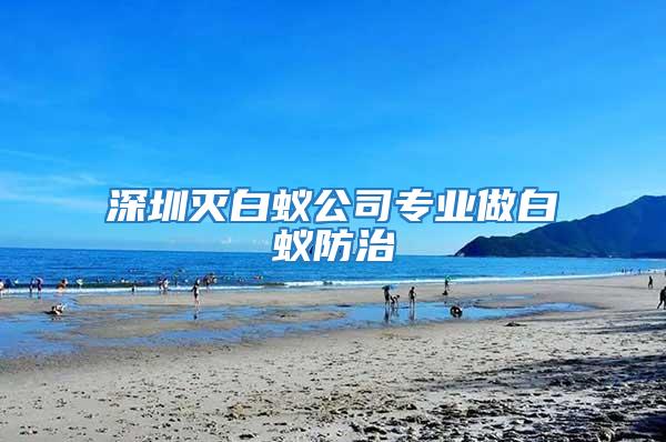 深圳滅白蟻公司專業(yè)做白蟻防治