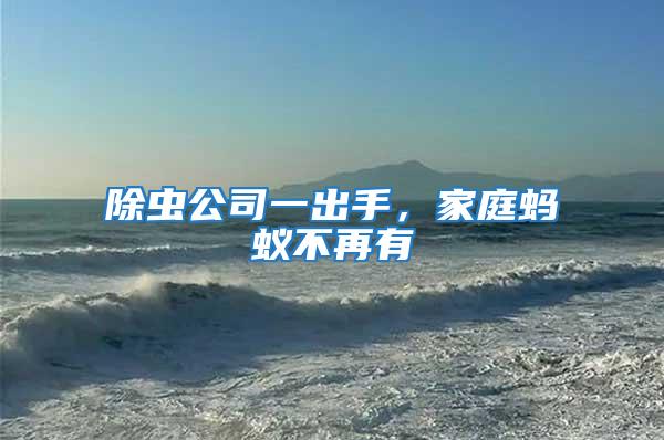 除蟲公司一出手，家庭螞蟻不再有
