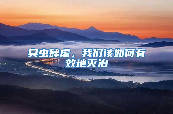 臭蟲肆虐，我們該如何有效地滅治