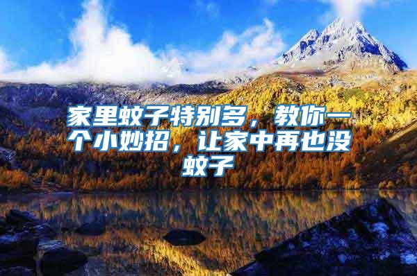 家里蚊子特別多，教你一個小妙招，讓家中再也沒蚊子