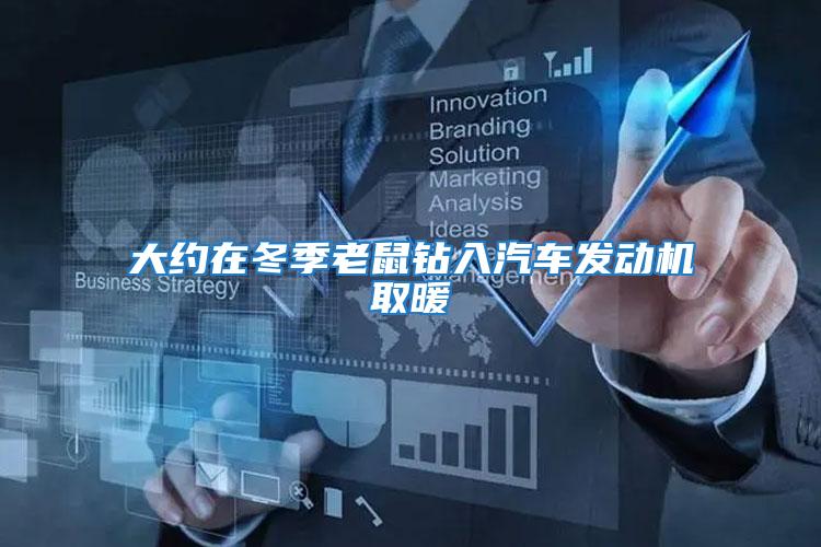 大約在冬季老鼠鉆入汽車發(fā)動(dòng)機(jī)取暖
