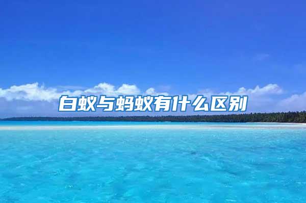 白蟻與螞蟻有什么區別