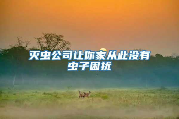 滅蟲公司讓你家從此沒有蟲子困擾