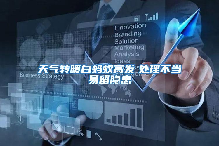 天氣轉暖白螞蟻高發　處理不當易留隱患
