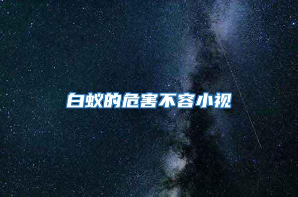 白蟻的危害不容小視