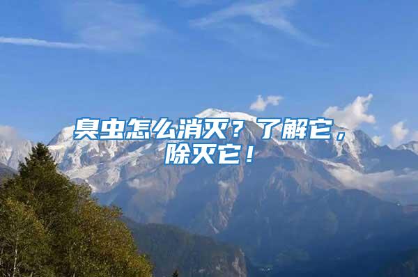 臭蟲怎么消滅？了解它，除滅它！