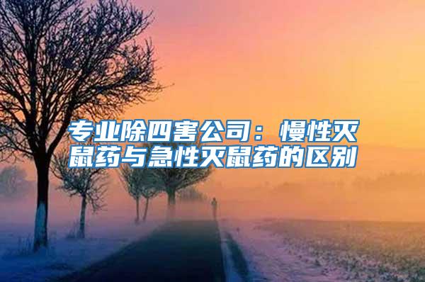 專業除四害公司：慢性滅鼠藥與急性滅鼠藥的區別