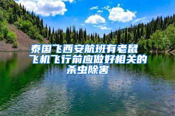 泰國飛西安航班有老鼠 飛機飛行前應(yīng)做好相關(guān)的殺蟲除害