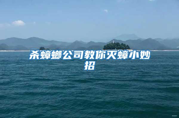 殺蟑螂公司教你滅蟑小妙招