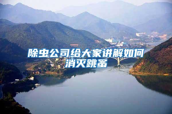 除蟲公司給大家講解如何消滅跳蚤