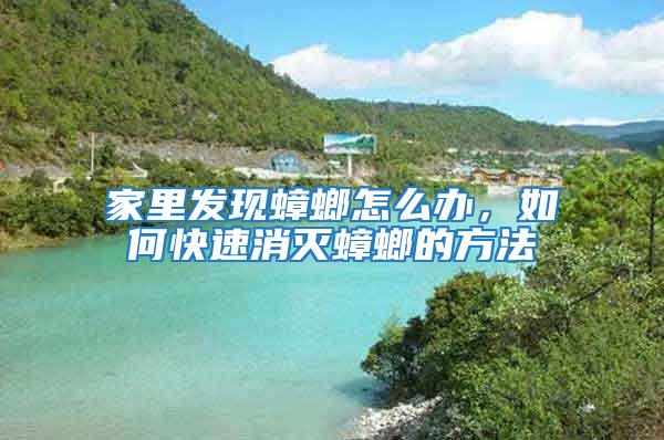 家里發現蟑螂怎么辦，如何快速消滅蟑螂的方法