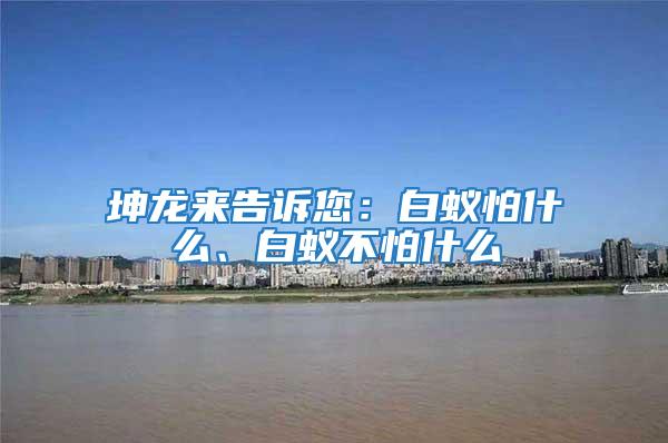 坤龍來告訴您：白蟻怕什么、白蟻不怕什么