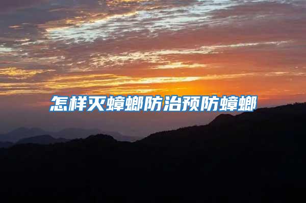怎樣滅蟑螂防治預防蟑螂