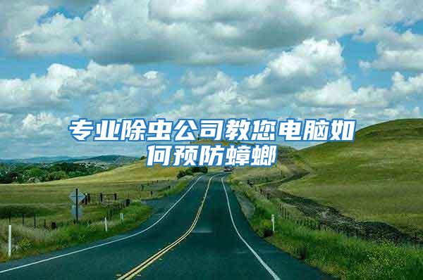 專業除蟲公司教您電腦如何預防蟑螂