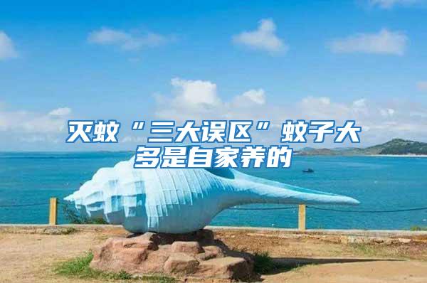 滅蚊“三大誤區”蚊子大多是自家養的
