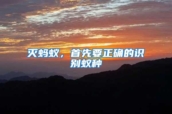 滅螞蟻，首先要正確的識別蟻種