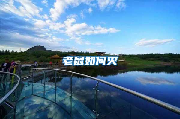 老鼠如何滅