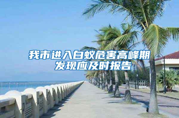 我市進入白蟻危害高峰期 發現應及時報告