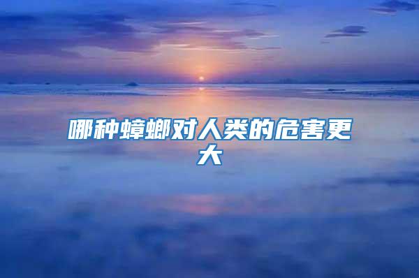 哪種蟑螂對人類的危害更大