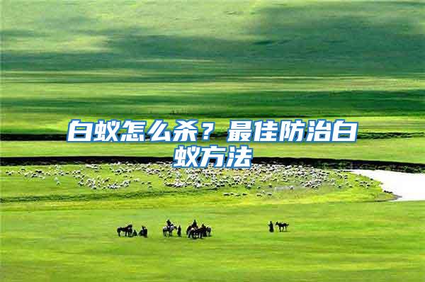 白蟻怎么殺？最佳防治白蟻方法