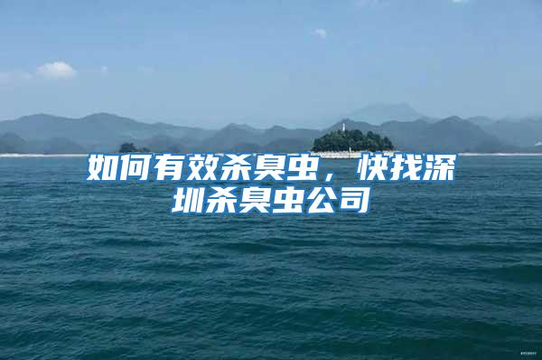 如何有效殺臭蟲，快找深圳殺臭蟲公司