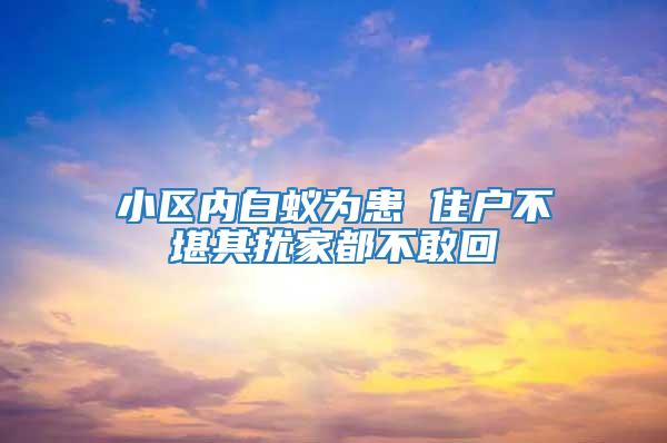 小區內白蟻為患 住戶不堪其擾家都不敢回