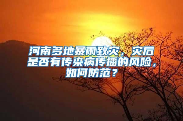河南多地暴雨致災，災后是否有傳染病傳播的風險，如何防范？