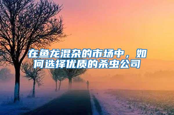 在魚龍混雜的市場中，如何選擇優質的殺蟲公司