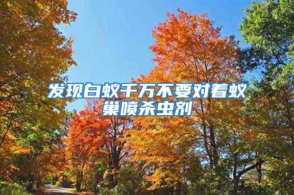 發現白蟻千萬不要對著蟻巢噴殺蟲劑