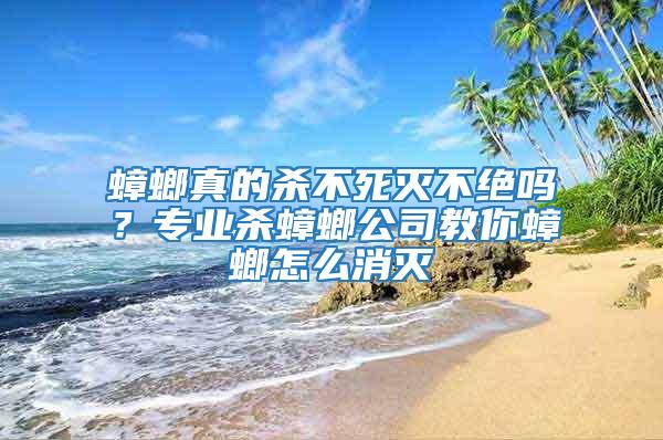 蟑螂真的殺不死滅不絕嗎？專業殺蟑螂公司教你蟑螂怎么消滅