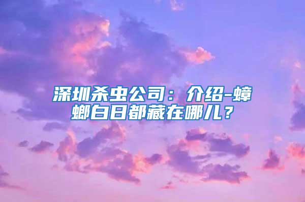 深圳殺蟲公司：介紹-蟑螂白日都藏在哪兒？
