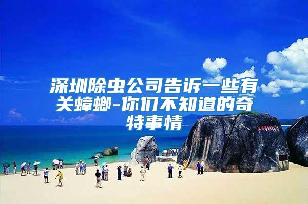 深圳除蟲公司告訴一些有關蟑螂-你們不知道的奇特事情