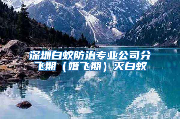 深圳白蟻防治專業公司分飛期（婚飛期）滅白蟻