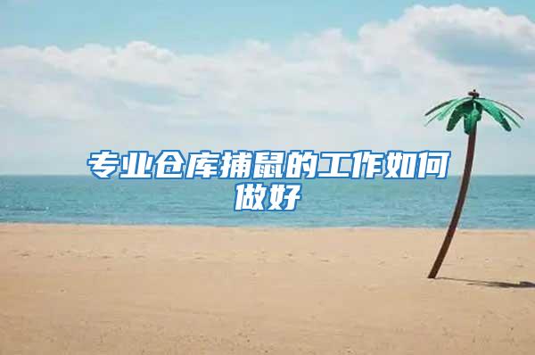 專業倉庫捕鼠的工作如何做好