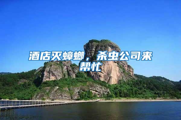 酒店滅蟑螂，殺蟲公司來幫忙