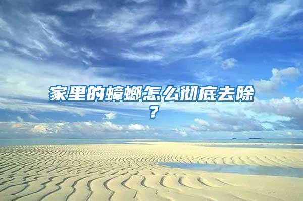 家里的蟑螂怎么徹底去除？