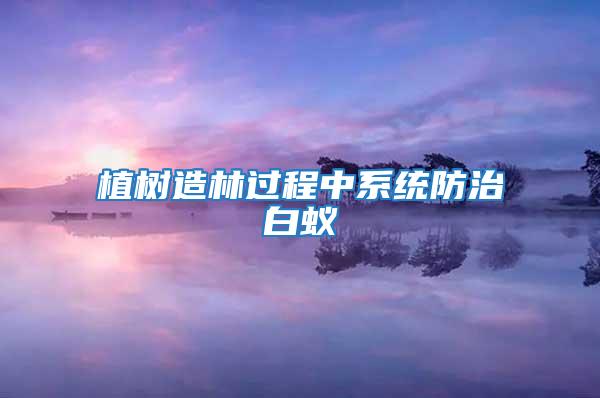 植樹造林過程中系統(tǒng)防治白蟻