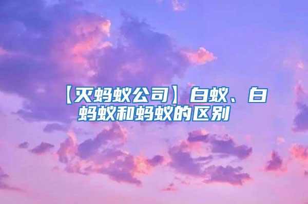 【滅螞蟻公司】白蟻、白螞蟻和螞蟻的區別