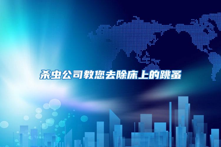 殺蟲公司教您去除床上的跳蚤