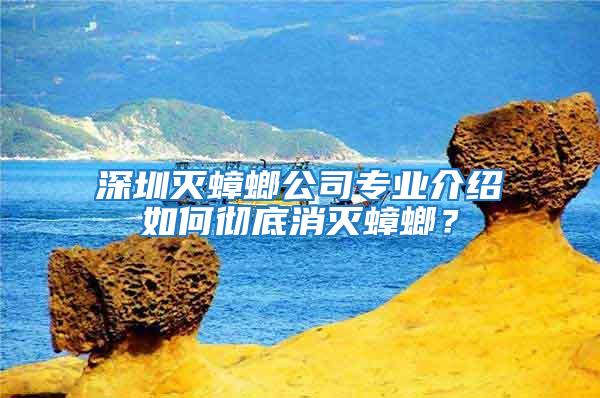 深圳滅蟑螂公司專業介紹如何徹底消滅蟑螂？