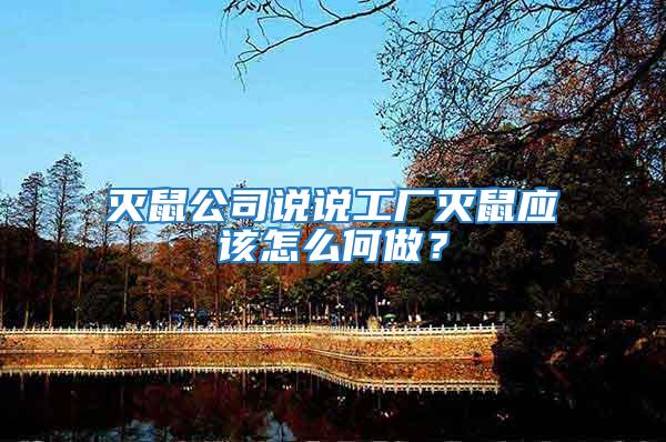滅鼠公司說說工廠滅鼠應該怎么何做？