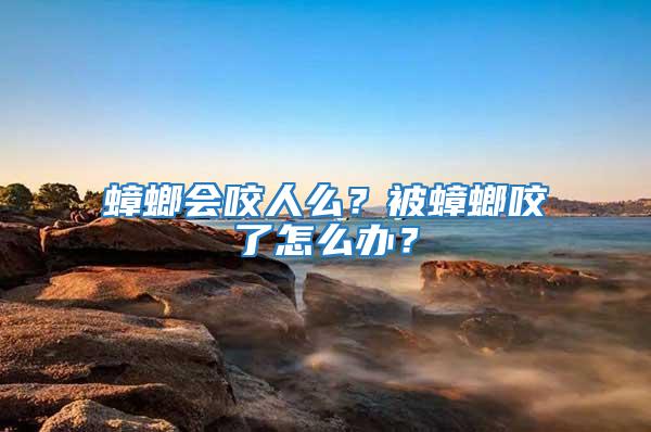 蟑螂會咬人么？被蟑螂咬了怎么辦？