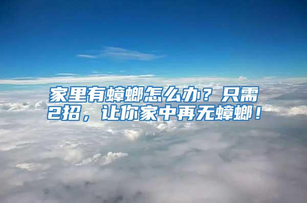 家里有蟑螂怎么辦？只需2招，讓你家中再無蟑螂！