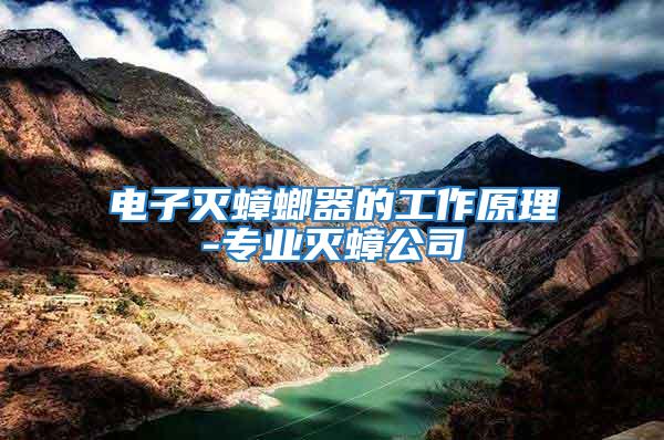 電子滅蟑螂器的工作原理-專業滅蟑公司