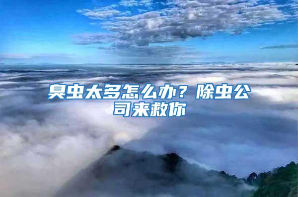 臭蟲太多怎么辦？除蟲公司來救你
