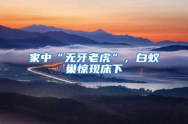 家中“無(wú)牙老虎”，白蟻巢驚現(xiàn)床下