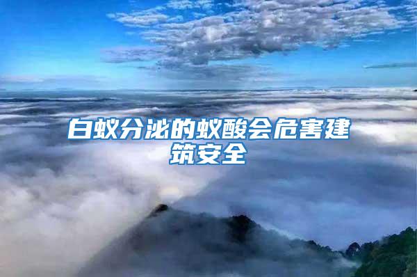 白蟻分泌的蟻酸會危害建筑安全