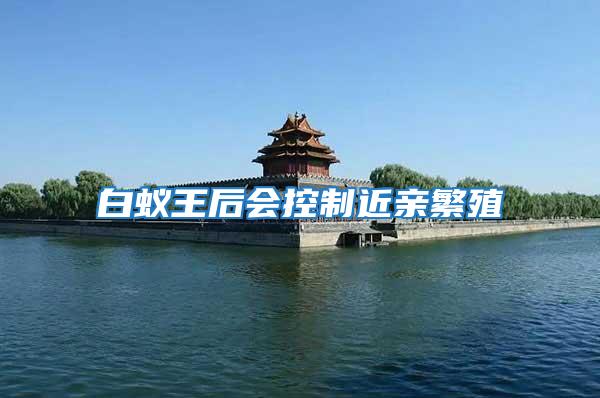 白蟻王后會控制近親繁殖