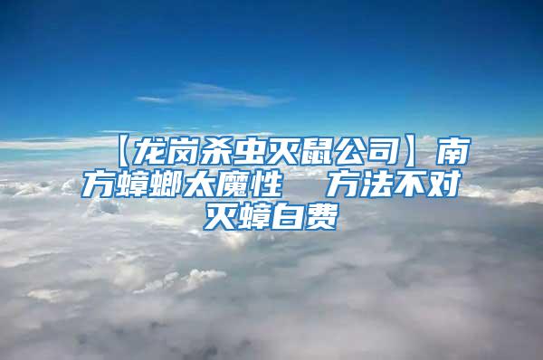 【龍崗殺蟲滅鼠公司】南方蟑螂太魔性  方法不對滅蟑白費