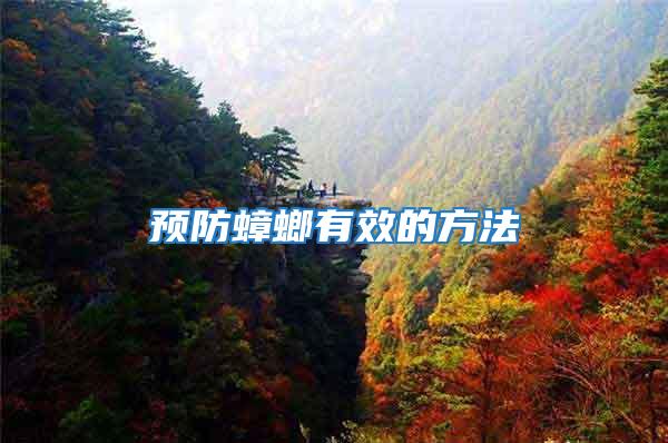 預防蟑螂有效的方法